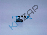 ����� ������������  _����_0